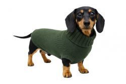 100% Kaschmir  7 gauge Pullover für Hunde und Katzen made in Italy