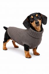 100% Kaschmir Pullover 3-Gauge für Hunde und Katzen